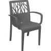Outlet Chaise avec bras Vegetal - Charcoal Ameublement Commercial Pour Terrasses