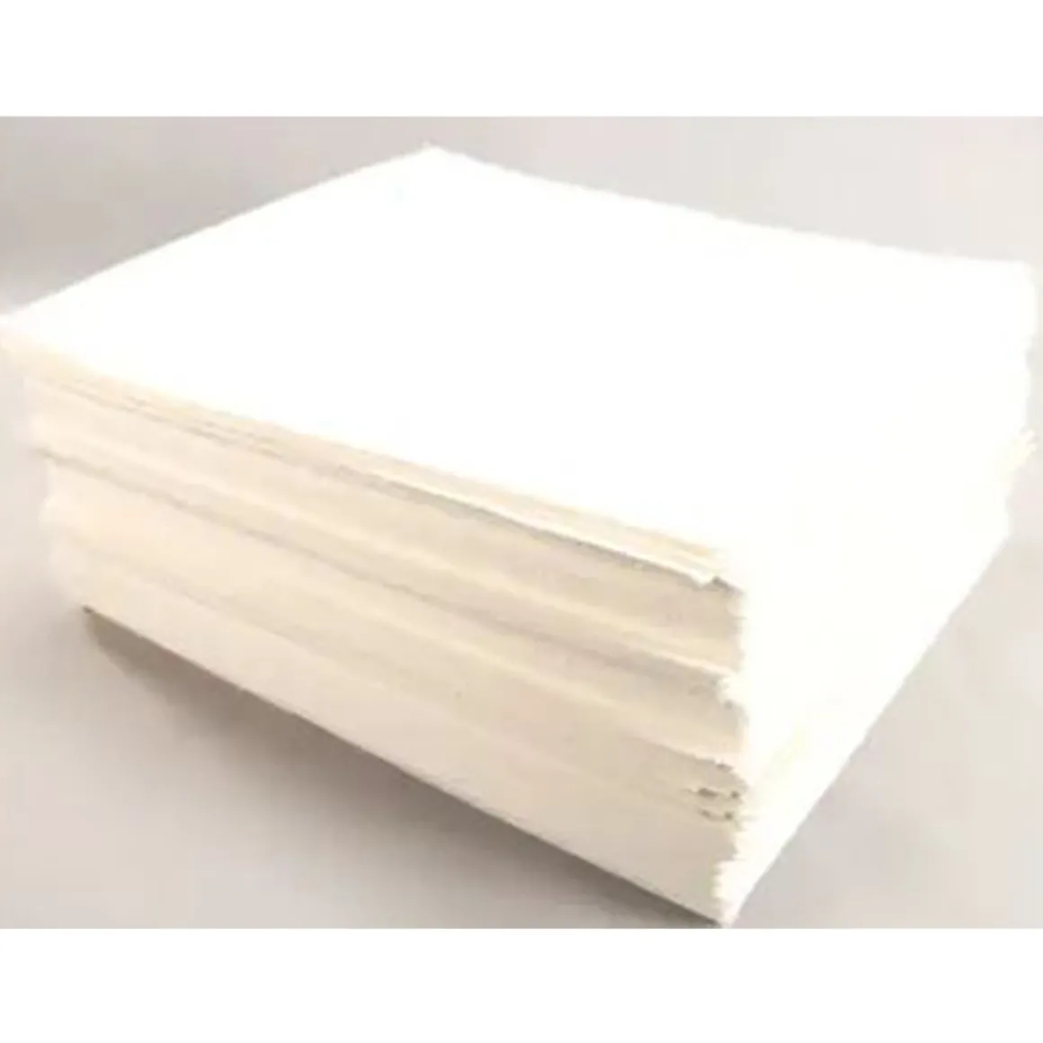 filtre__friteuse_pitco_de_0.webp Hot Filtre à friteuse Pitco de 18.5" x 20.5" H.D. - 100 par boite Équipements De Cuisson