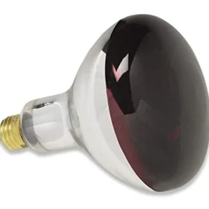 Fashion Globe chauffant rouge 250W Réchauds Et Maintiens