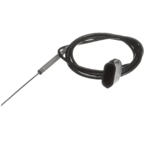 New Sonde pour sous-vide CTP20E Fours Commerciaux